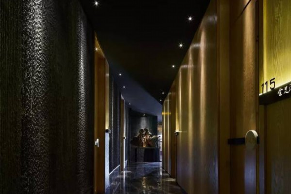 成都茶事之旅：热门茶馆与特色茶叶推荐